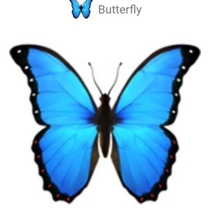All Items With A Butterfly Are 5/25$